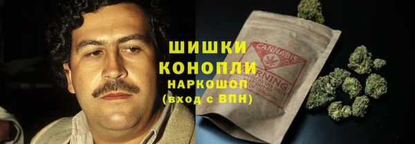 гидра Бикин