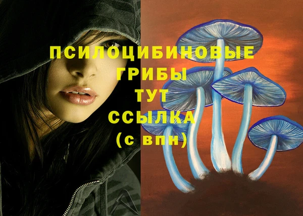 дмт Нягань